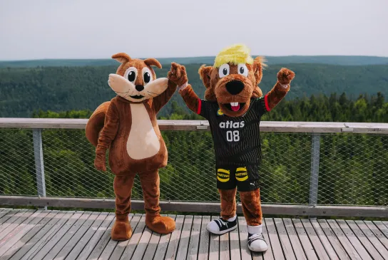 Der DHB EAK Aktionstag