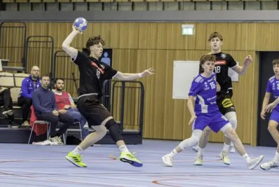 gaugisch.jpg gaugisch.jpg